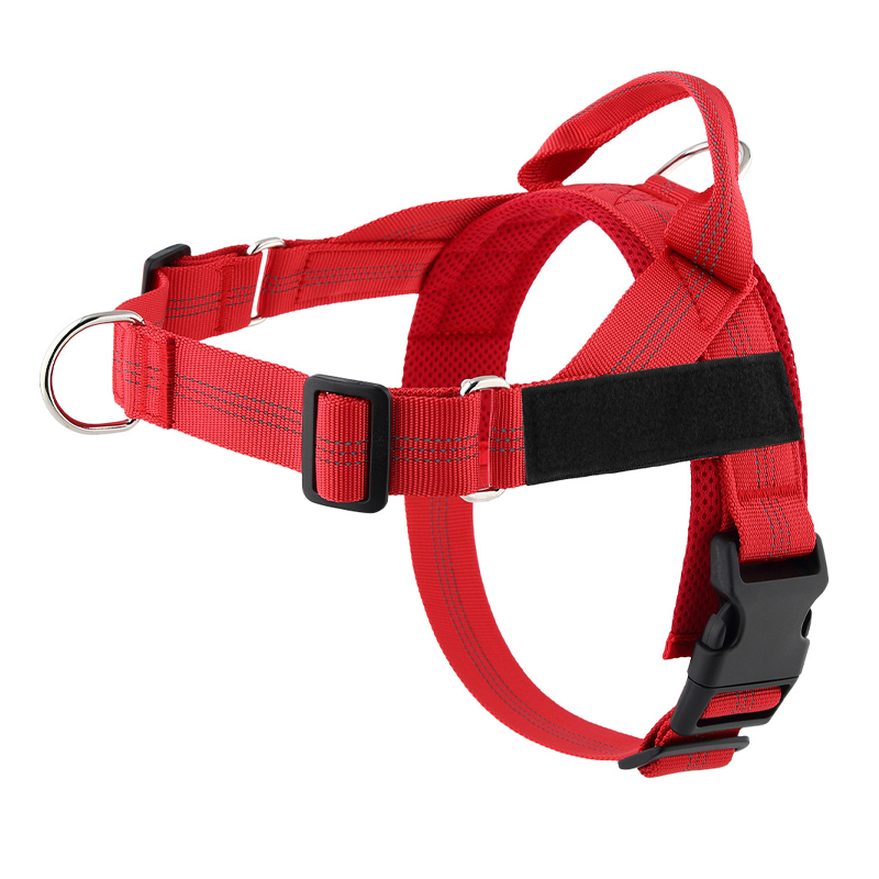 🦮 ¡OFERTA POR TIEMPO LIMITADO 50% DE DESCUENTO! 🍂 Arnés Acolchado para Perro de Fácil Puesta – Antitirones, Ajuste Preciso, Hebilla Rápida y 8 Colores ✨
