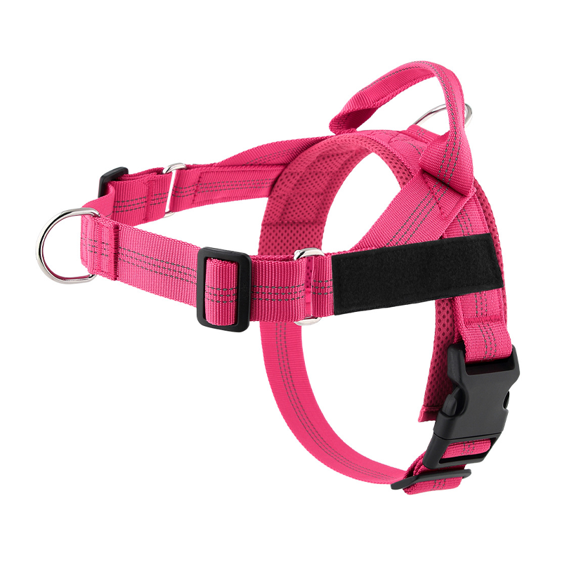 🦮 ¡OFERTA POR TIEMPO LIMITADO 50% DE DESCUENTO! 🍂 Arnés Acolchado para Perro de Fácil Puesta – Antitirones, Ajuste Preciso, Hebilla Rápida y 8 Colores ✨