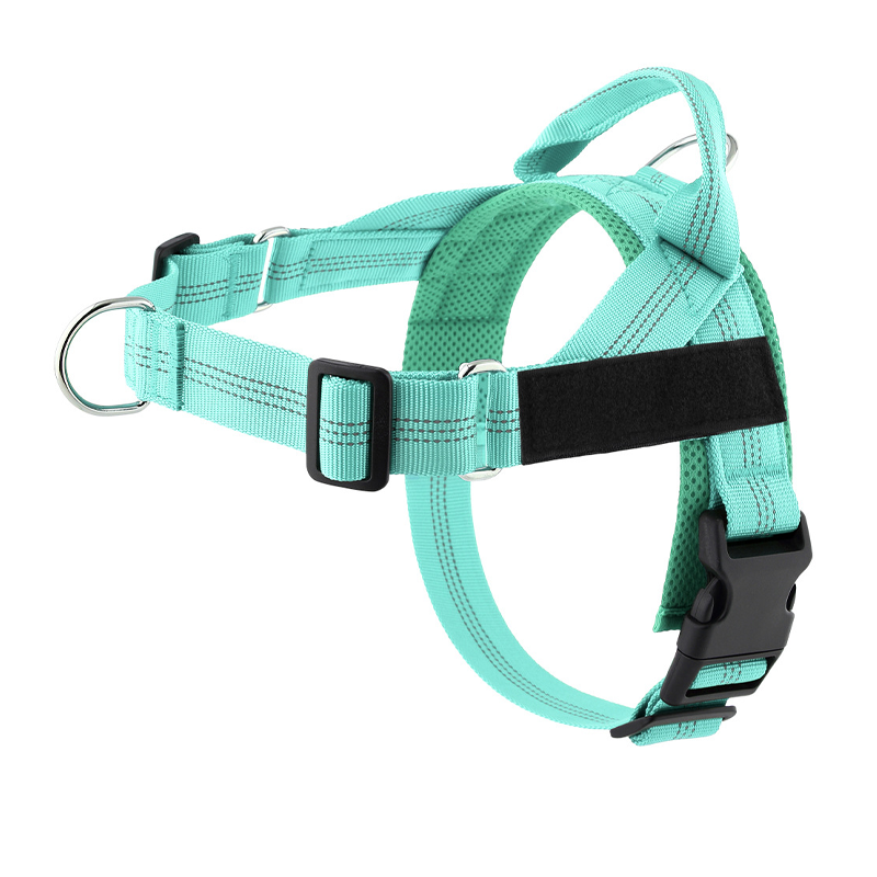 🦮 ¡OFERTA POR TIEMPO LIMITADO 50% DE DESCUENTO! 🍂 Arnés Acolchado para Perro de Fácil Puesta – Antitirones, Ajuste Preciso, Hebilla Rápida y 8 Colores ✨