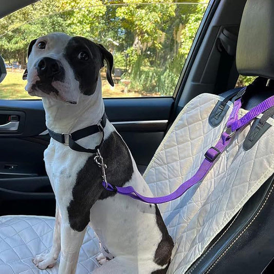 ⏰🔥 ¡50% DE DESCUENTO POR TIEMPO LIMITADO! 🐶 Cinturón de Seguridad 2 en 1 – Protege a tu Perro en el Auto y en Paseos 🌟✨