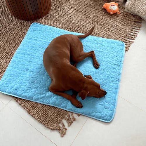❄️🐾Esterilla refrescante para mascotas (efecto refrescante 4 veces mayor)🐶 Imprescindible para el verano para cualquier dueño de mascotas