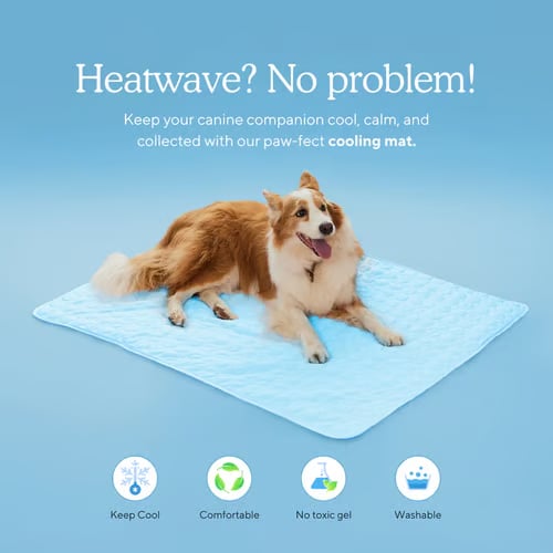 ❄️🐾Esterilla refrescante para mascotas (efecto refrescante 4 veces mayor)🐶 Imprescindible para el verano para cualquier dueño de mascotas