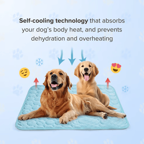 ❄️🐾Esterilla refrescante para mascotas (efecto refrescante 4 veces mayor)🐶 Imprescindible para el verano para cualquier dueño de mascotas