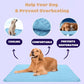 ❄️🐾Esterilla refrescante para mascotas (efecto refrescante 4 veces mayor)🐶 Imprescindible para el verano para cualquier dueño de mascotas