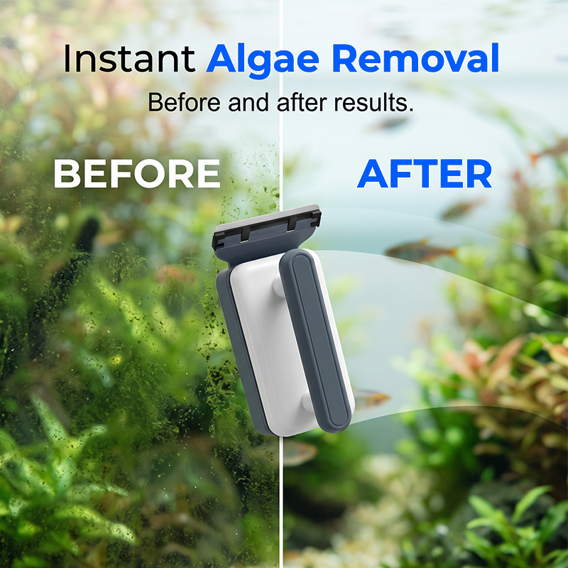 🔥 50% OFF NOW 🐠 Magnetic Aquarium Glass Cleaner – Double-Sided Floating Algae Scraper – Effortlessly Clean Inside & Outside Without Getting Your Hands Wet ✨