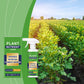 🔥¡Oferta imperdible con 50% de descuento!🔥 Fertilizante líquido en aerosol para plantas – Fertilizante foliar, listo para usar, para interiores y exteriores 🌿