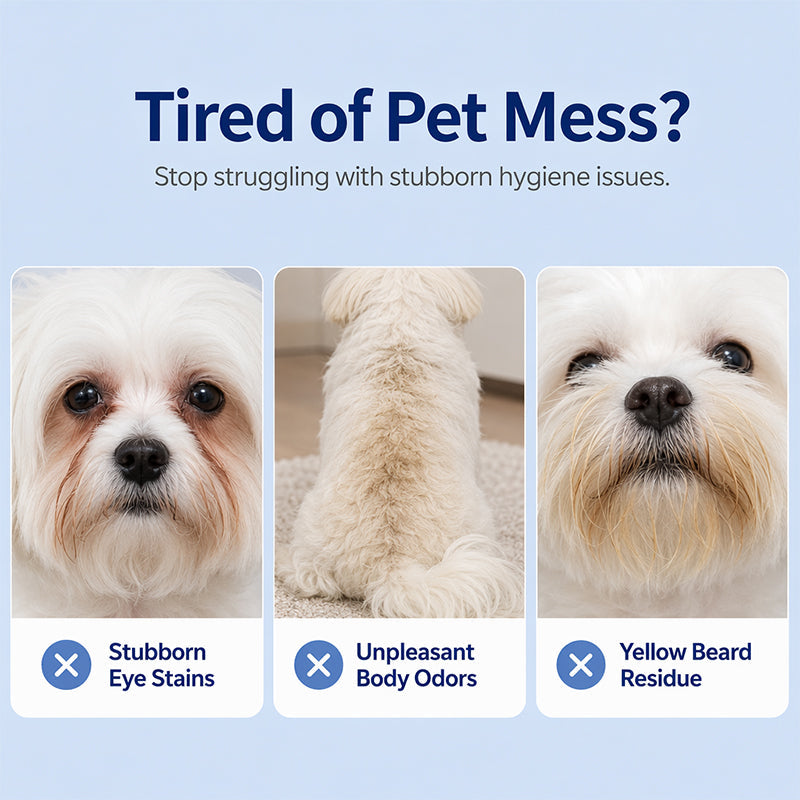 No-Rinse Pet Cleaning Spray Stain and Odor Remover for Dogs and Cats 500ml