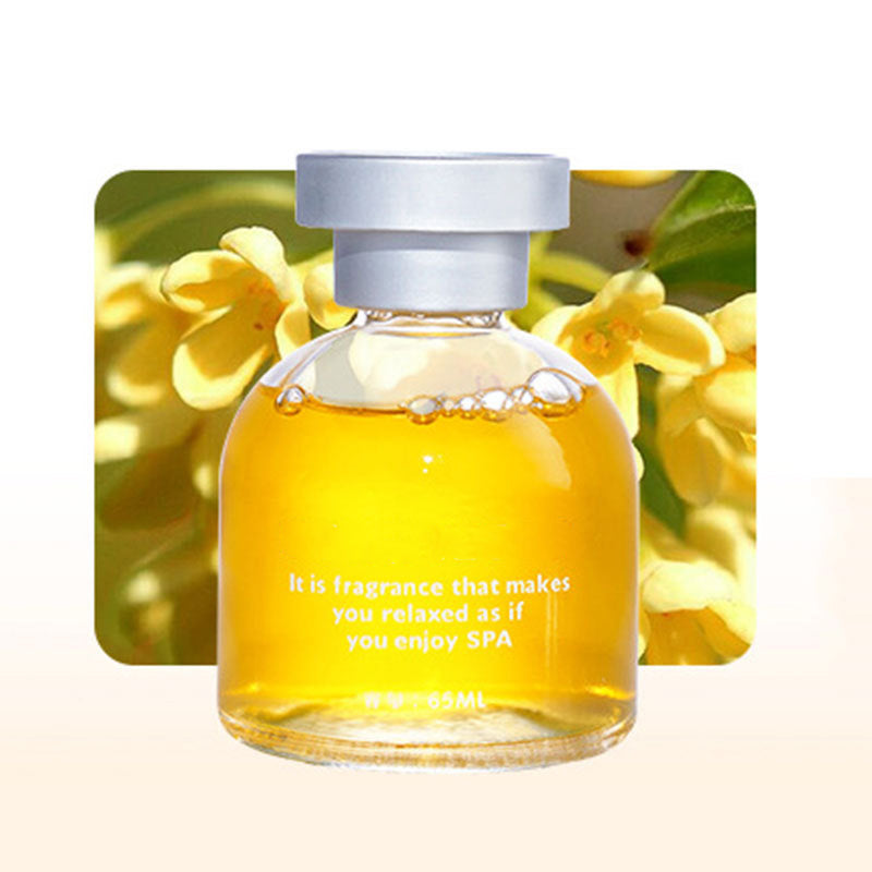 ✨️✨️Amazing 50% OFF！🌺Premium Fragrance for Fresh Air！🚗Long Lasting Car Perfume