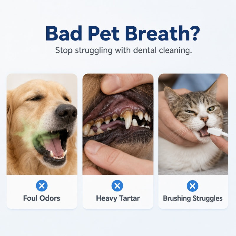 🥳¡OFERTA ESPECIAL 2026!🥳💞¡Más de 50.000 unidades vendidas!🐶🐱 ¡50% de descuento! Spray de limpieza bucal para mascotas: refresca el aliento y favorece la higiene bucal diaria. Bruma suave, fácil de usar: ¡no necesita cepillado! 🌸🧴
