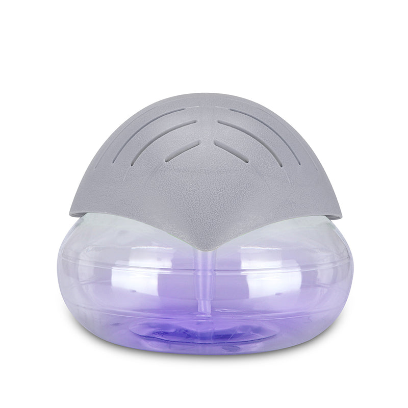 Portable Fog-Free Air Humidifier & Purifier