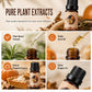 👻👻Halloween Scented Essential Oil Set